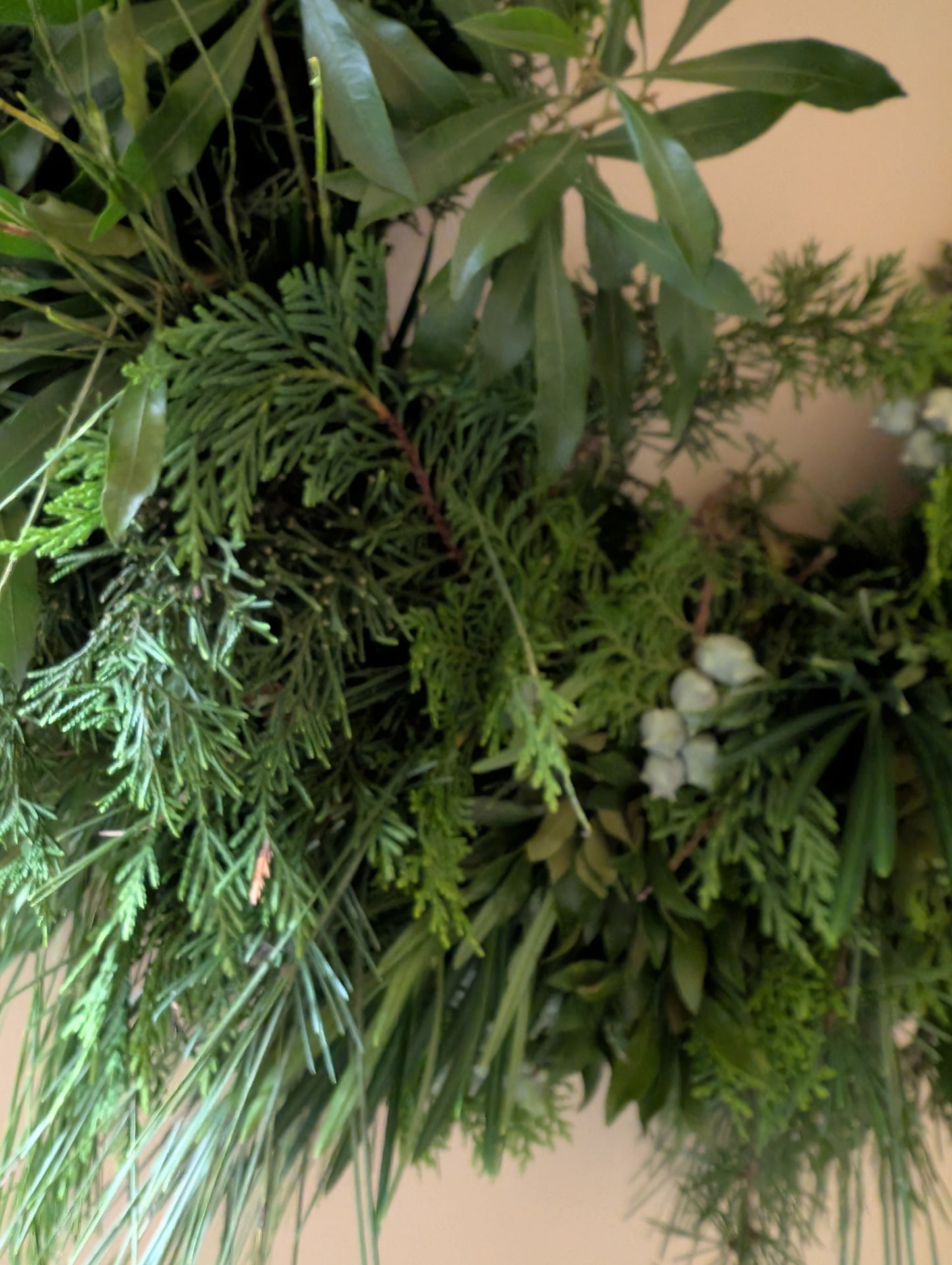 Lucknow Southern Fresh NC Evergreens Wreath