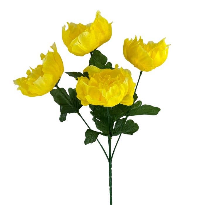 Img